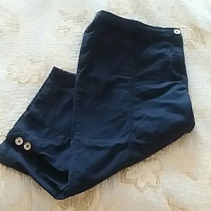 Plus Size Navy Stretch Twill Ca